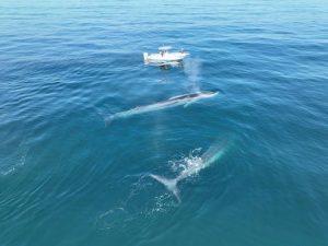 xrLRxQBM7VHF3uPMxjzp